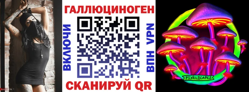 Галлюциногенные грибы Psilocybine cubensis  Касимов 