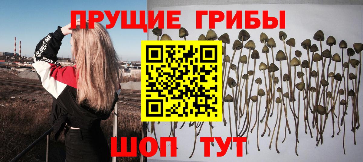Касимов  Мефедрон  ЭКСТАЗИ  ГАШИШ  Марихуана  МЕФ кристаллы  КОКАИН  Вход с VPN  ГАШИШ  Купить наркотики цена 