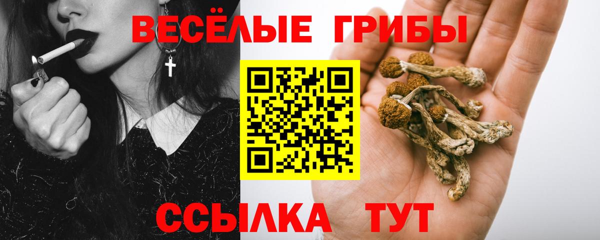 Псилоцибиновые грибы мицелий  Вход с VPN  Касимов 